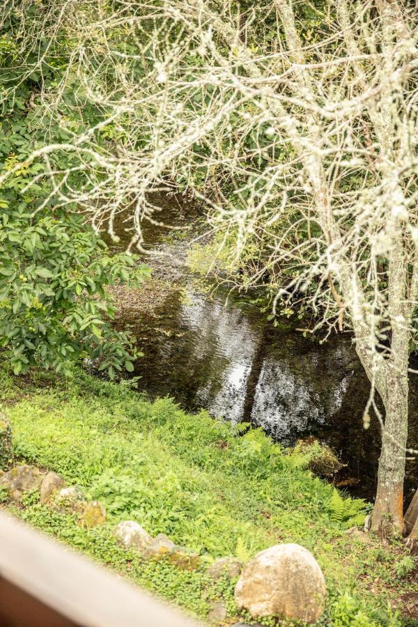 Lugar Del Rio Konuk evi Couzadoiro Dış mekan fotoğraf